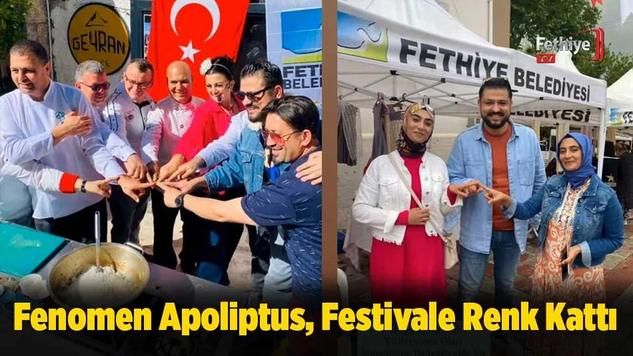 Fenomen Apoliptus, Festivale Renk Kattı