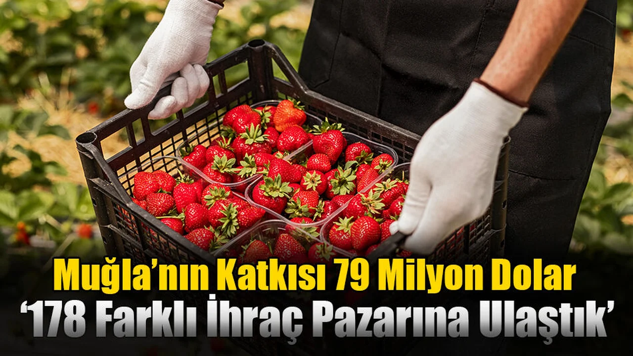 Muğla’nın Haziran Ayı İhracatı 79 Milyon Dolar