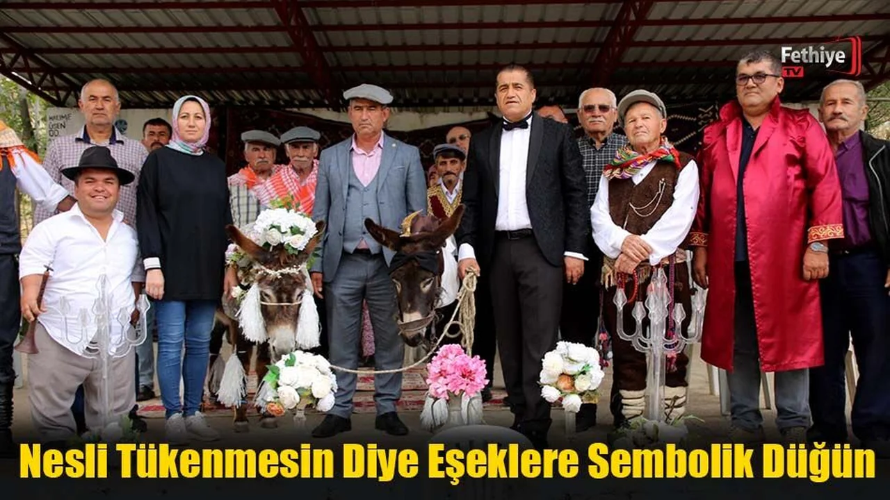 Nikah Sonrası Eşeklere Altın, Nal, Boncuk Gibi Takılar Takıldı