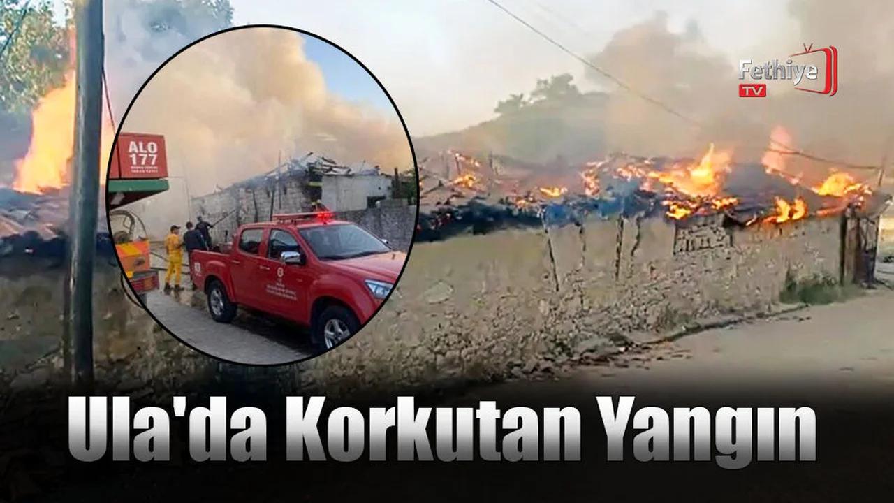 Ula'da Korkutan Yangın
