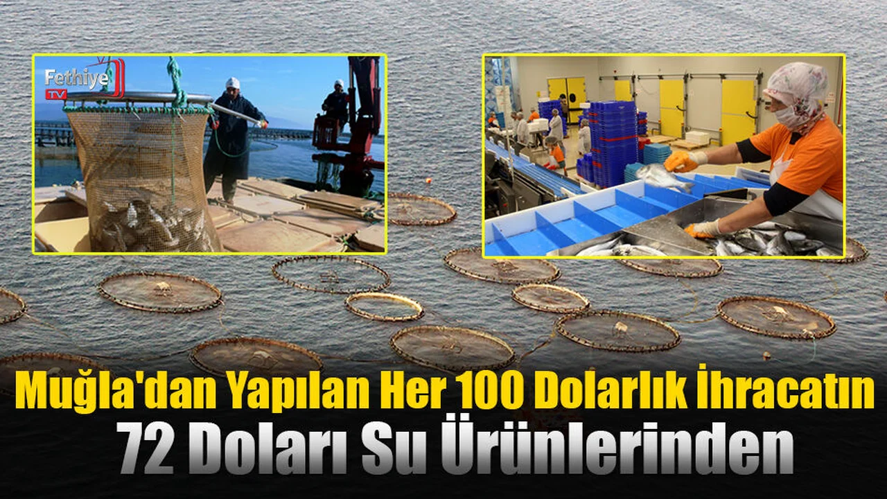 Muğla'dan Yapılan Her 100 Dolarlık İhracatın 72 Doları Su Ürünlerinden