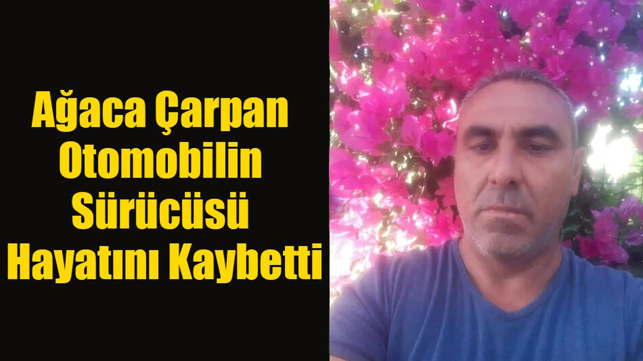 Ağaca Çarpan Otomobilin Sürücüsü Hayatını Kaybetti!