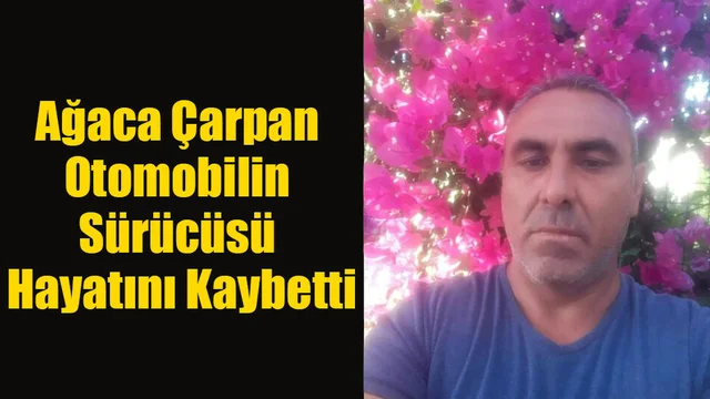 Ağaca Çarpan Otomobilin Sürücüsü Hayatını Kaybetti!
