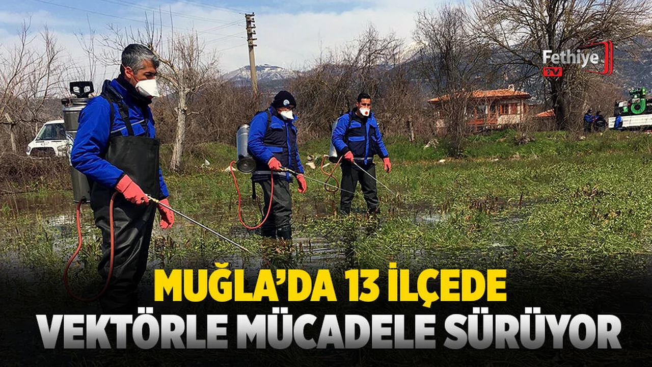 Muğla’nın 13 İlçesi’nde de Vektörle Mücadele Sürüyor