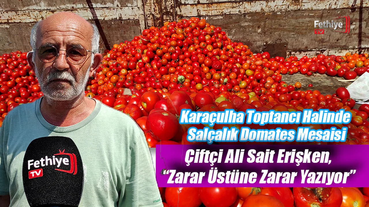 Karaçulha Toptancı Halinde Salçalık Domates Mesaisi