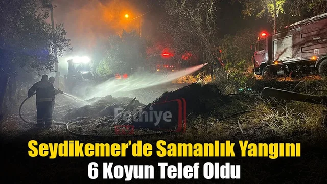 Seydikemer’de Samanlık Yangını: 6 Koyun Telef Oldu