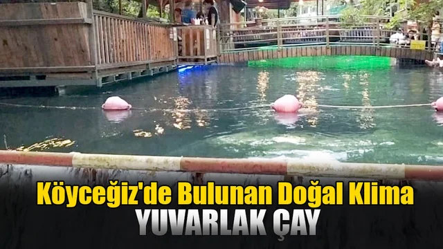 Köyceğiz'de Bulunan Doğal Klima: Yuvarlak Çay