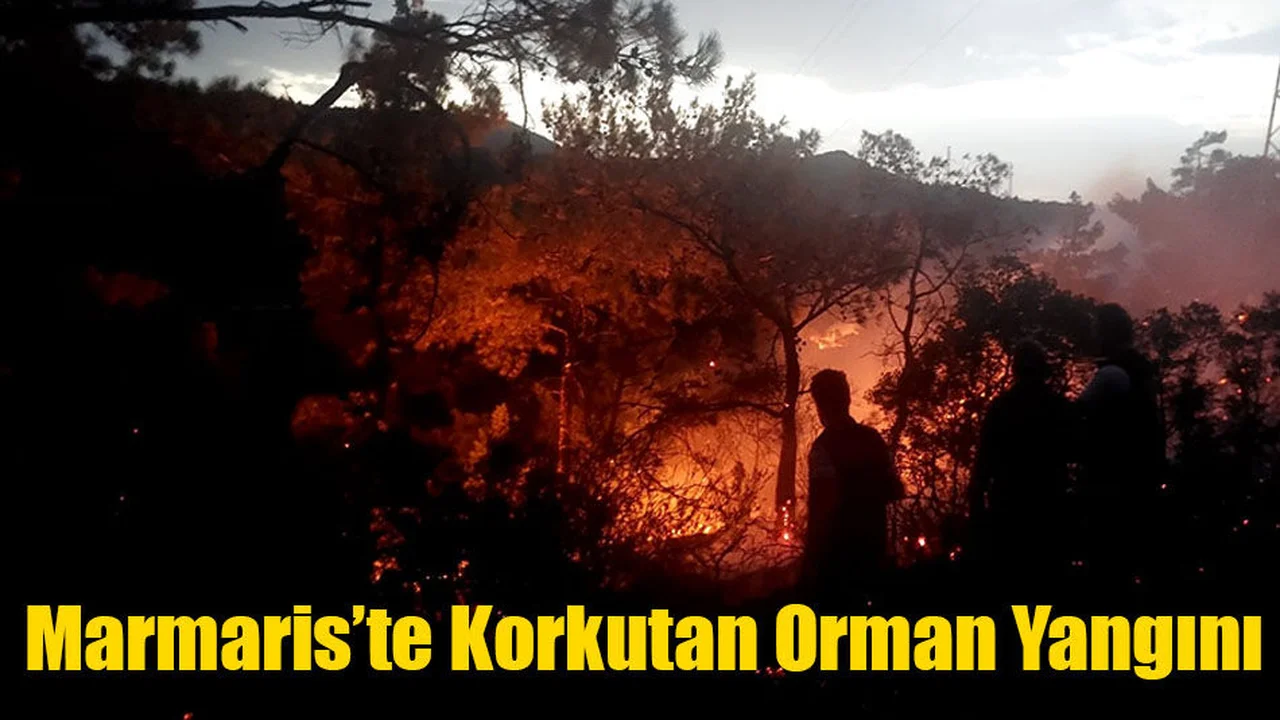 Marmaris’te Korkutan Orman Yangını