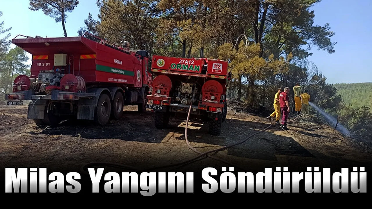 Milas Yangını Söndürüldü