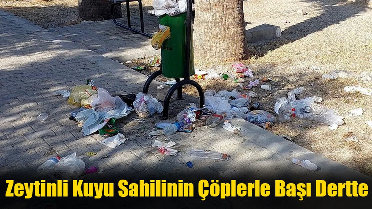 Zeytinli Kuyu Sahilinin Çöplerle Başı Dertte