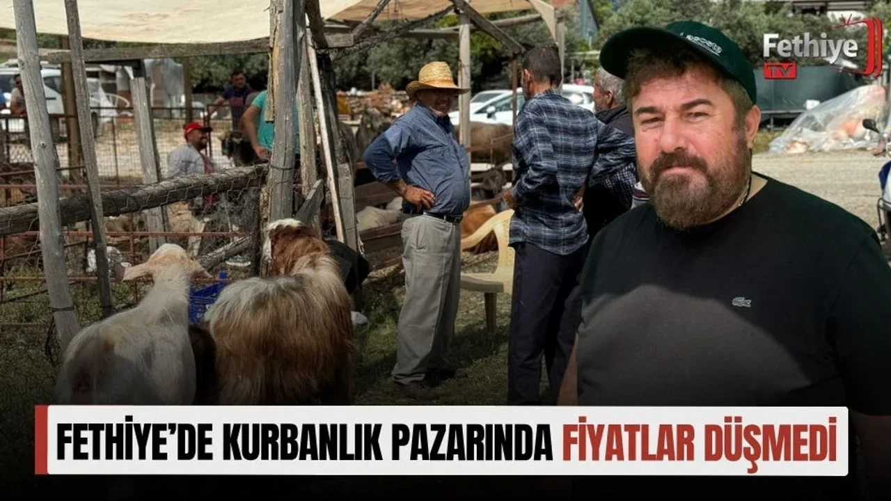 Fethiye’de Kurbanlık Pazarında Fiyatlar Düşmedi