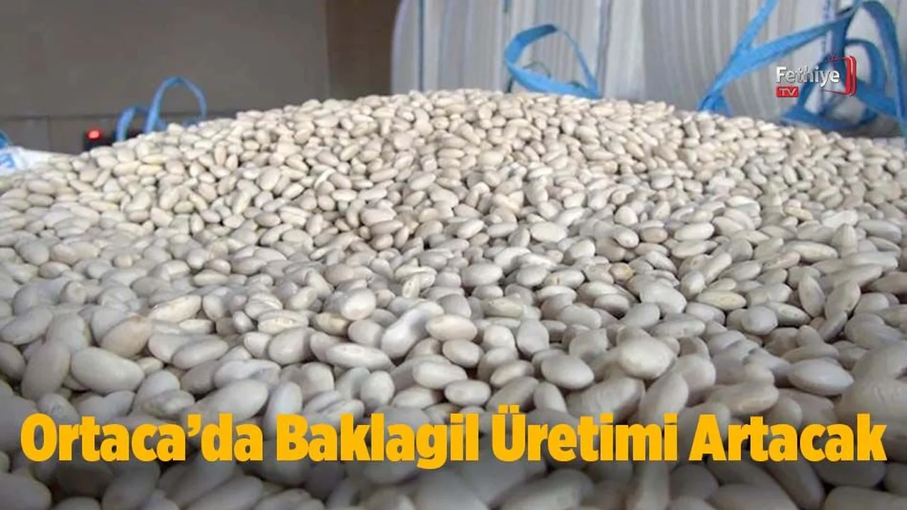 Ortaca’da Baklagil Üretimi Artacak