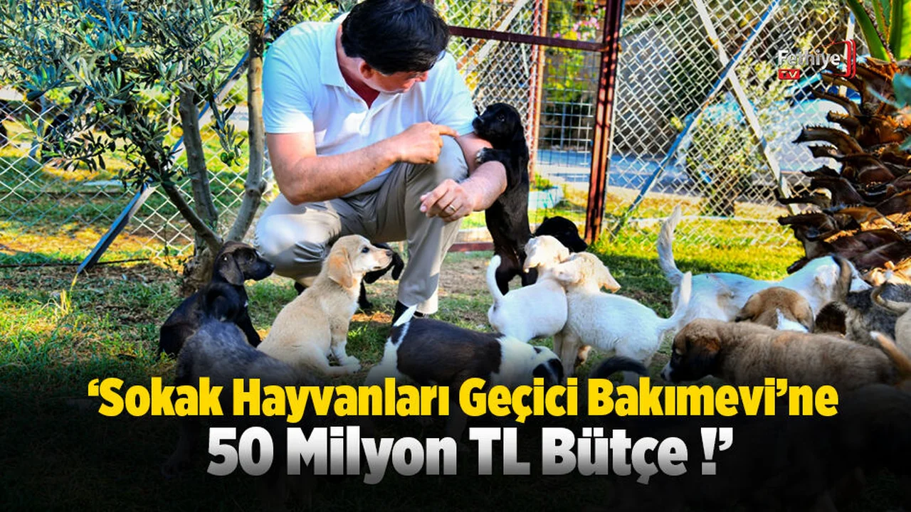 Karaca; ‘Bölgenin En Donanımlı Hayvan Bakımevi’ni Yapacağız’