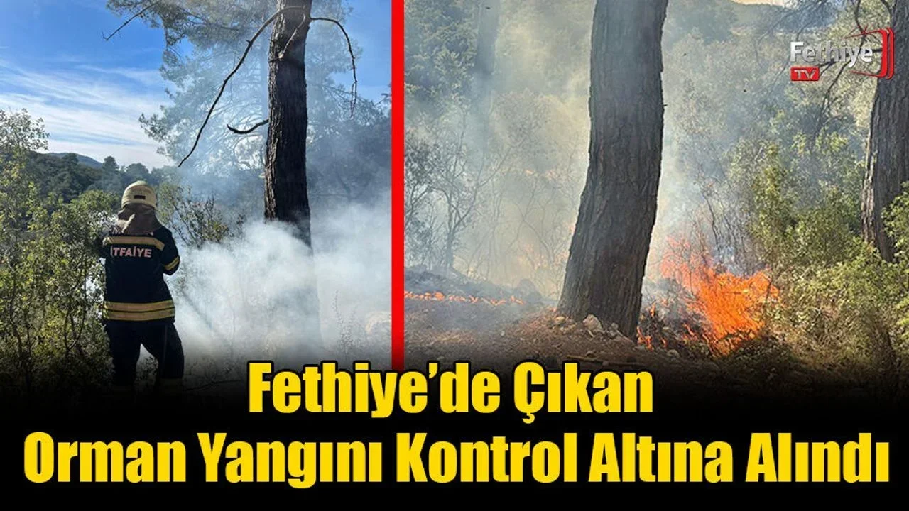Fethiye’de Çıkan Orman Yangını Kontrol Altına Alındı