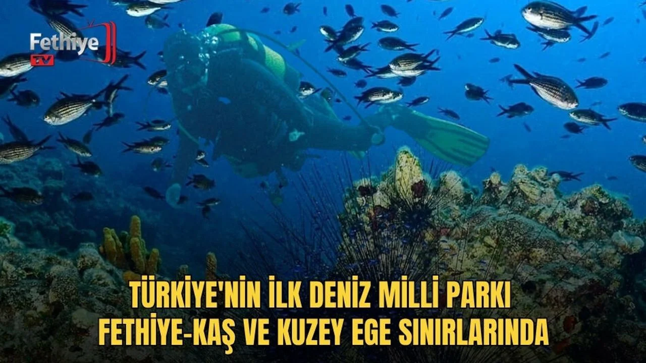 Türkiye'nin İlk Deniz Milli Parkı Fethiye-Kaş Ve Kuzey Ege Sınırlarında