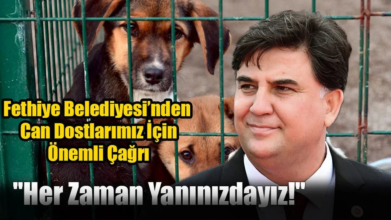 Fethiye Belediyesi’nden Can Dostlarımız İçin Önemli Çağrı