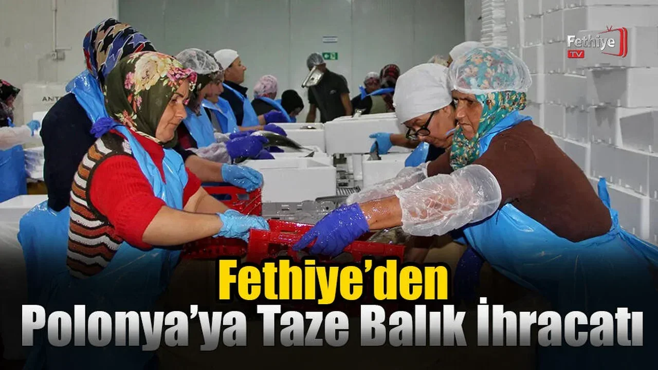 Fethiye’den Polonya’ya Taze Balık İhracatı Başladı