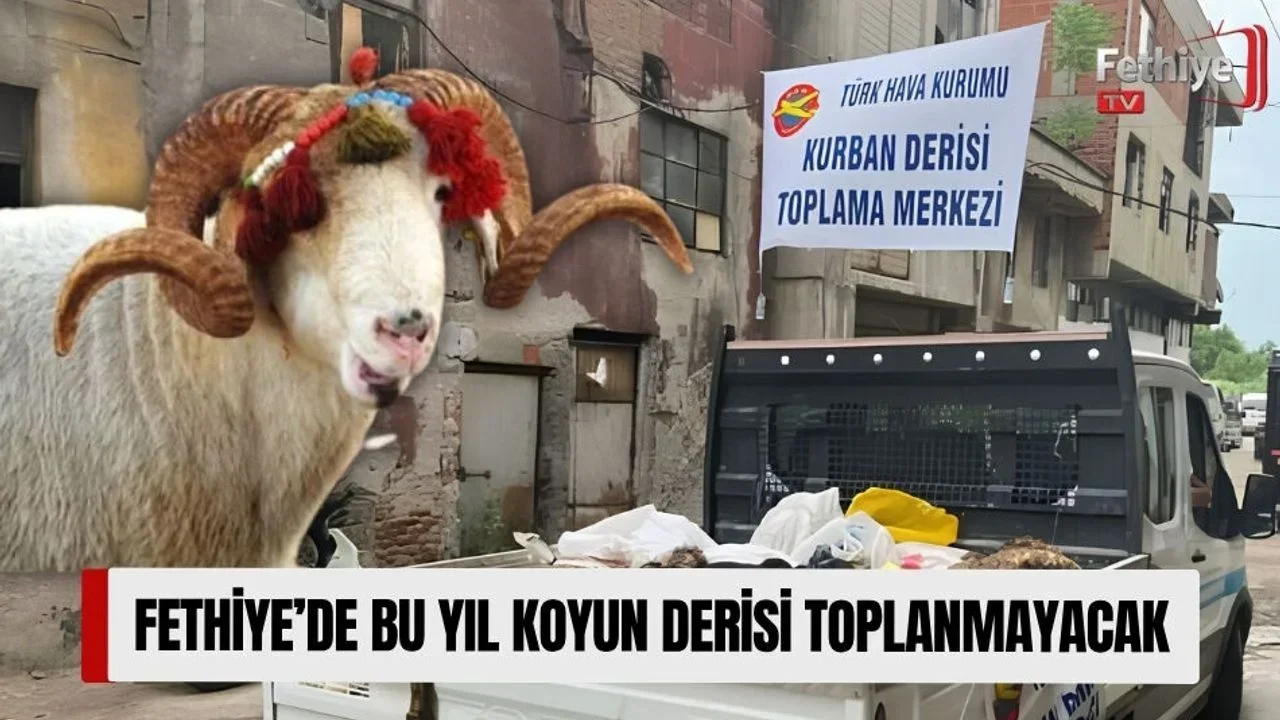 Fethiye’de Bu Yıl Koyun Derisi Toplanmayacak