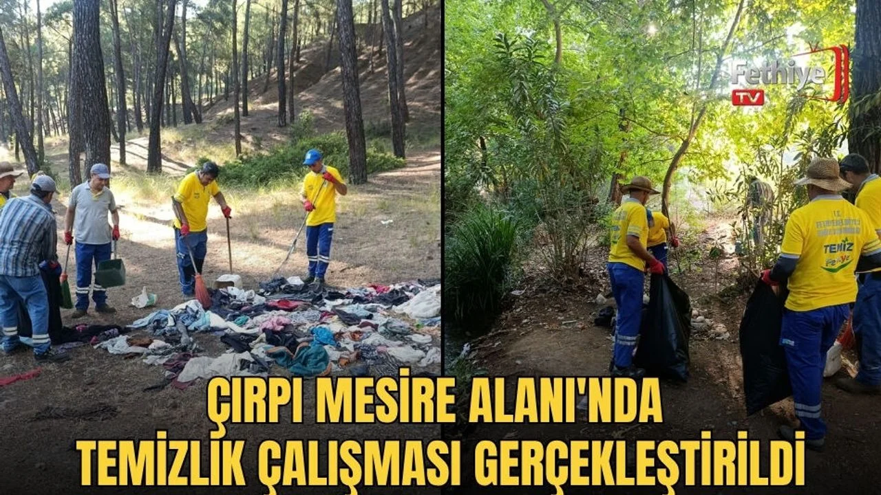 Çırpı Mesire Alanı'nda Temizlik Çalışması Gerçekleştirildi