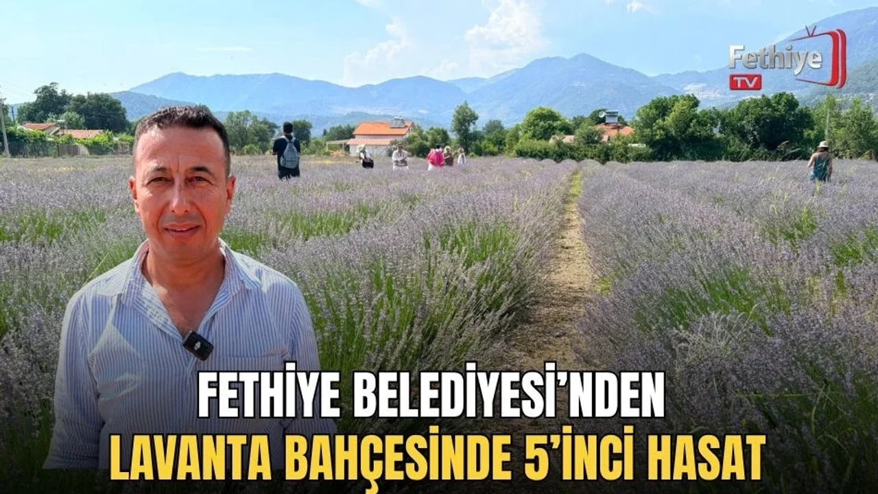 Fethiye Belediyesi’nden Lavanta Bahçesinde 5’inci Hasat
