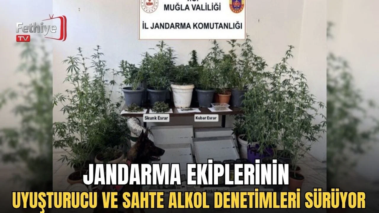 Jandarma Ekiplerinin Uyuşturucu Ve Sahte Alkol Denetimleri Sürüyor