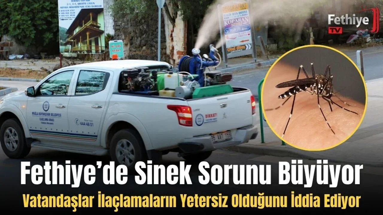 Fethiye’de Sinek Sorunu Büyüyor: Vatandaşlar İlaçlamaların Yetersiz Olduğunu İddia Ediyor