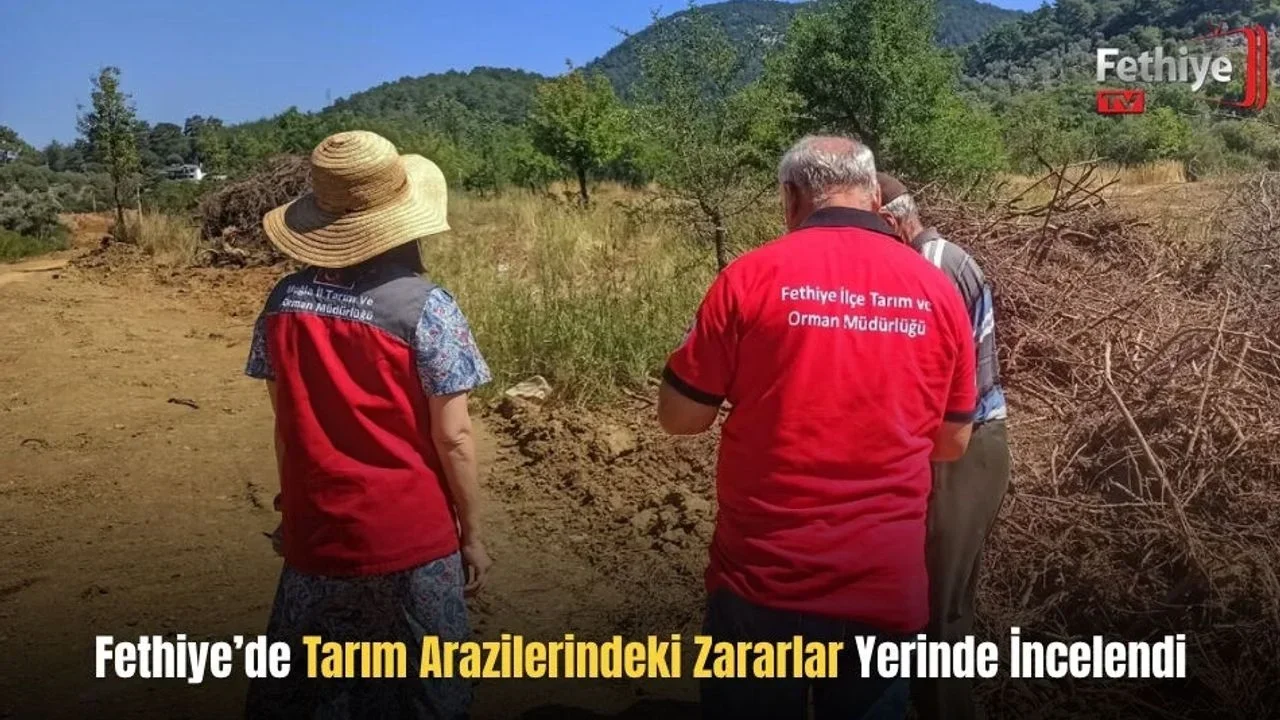 Fethiye’de Tarım Arazilerindeki Zararlar Yerinde İncelendi