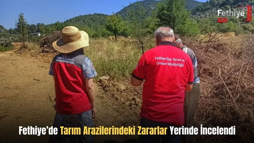 Fethiye’de Tarım Arazilerindeki Zararlar Yerinde İncelendi