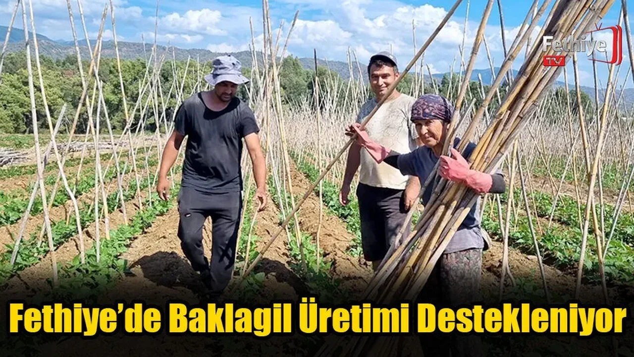 Fethiye’de Baklagil Üretimi Destekleniyor