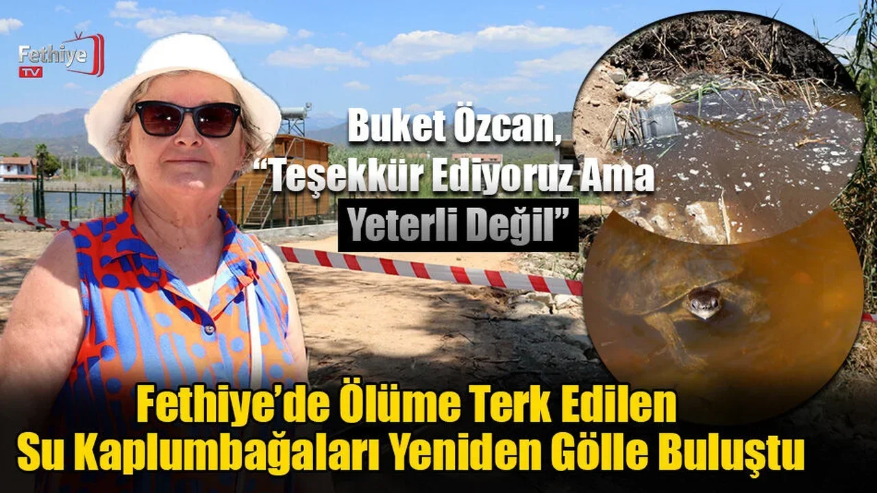 Fethiye’de Ölüme Terk Edilen Su Kaplumbağaları Yeniden Gölle Buluştu