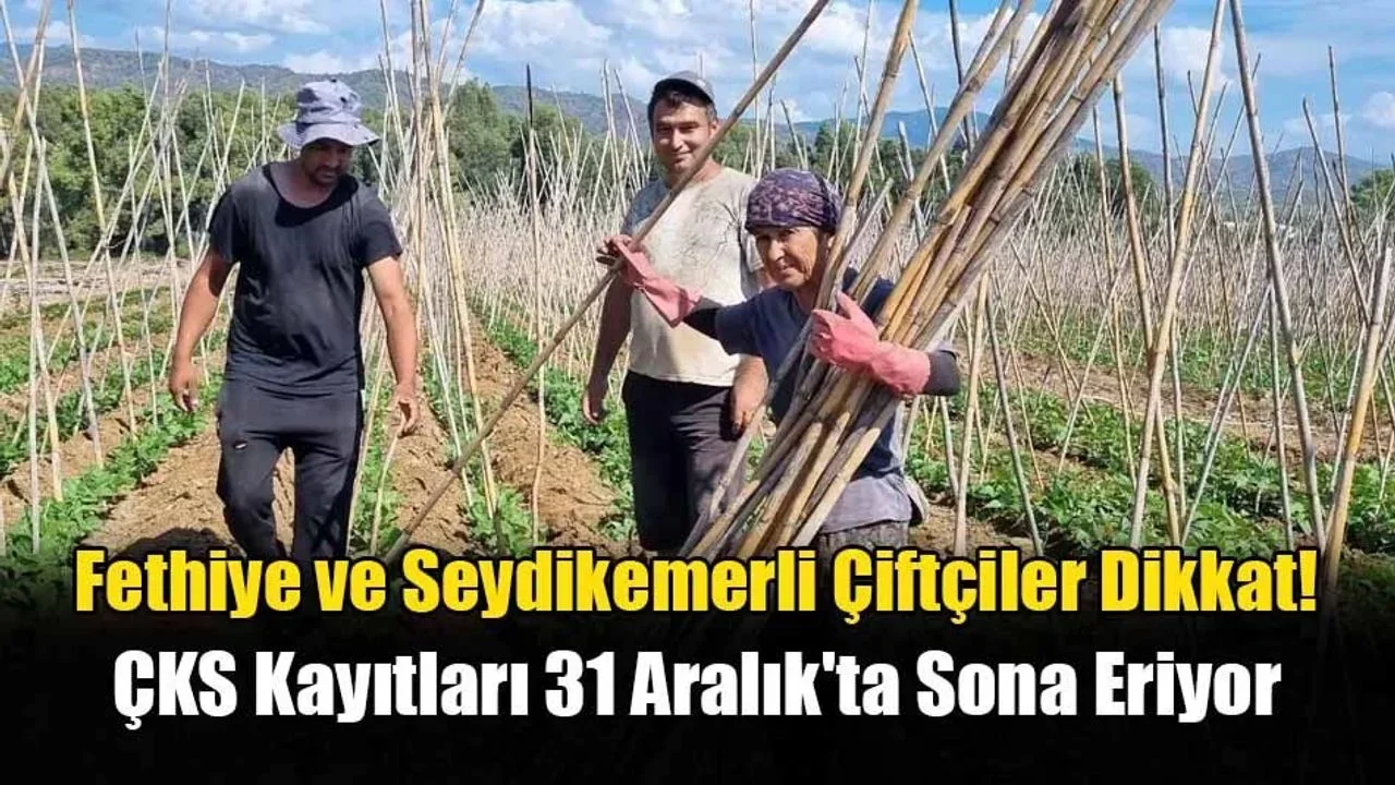 Fethiye ve Seydikemerli Çiftçiler Dikkat!