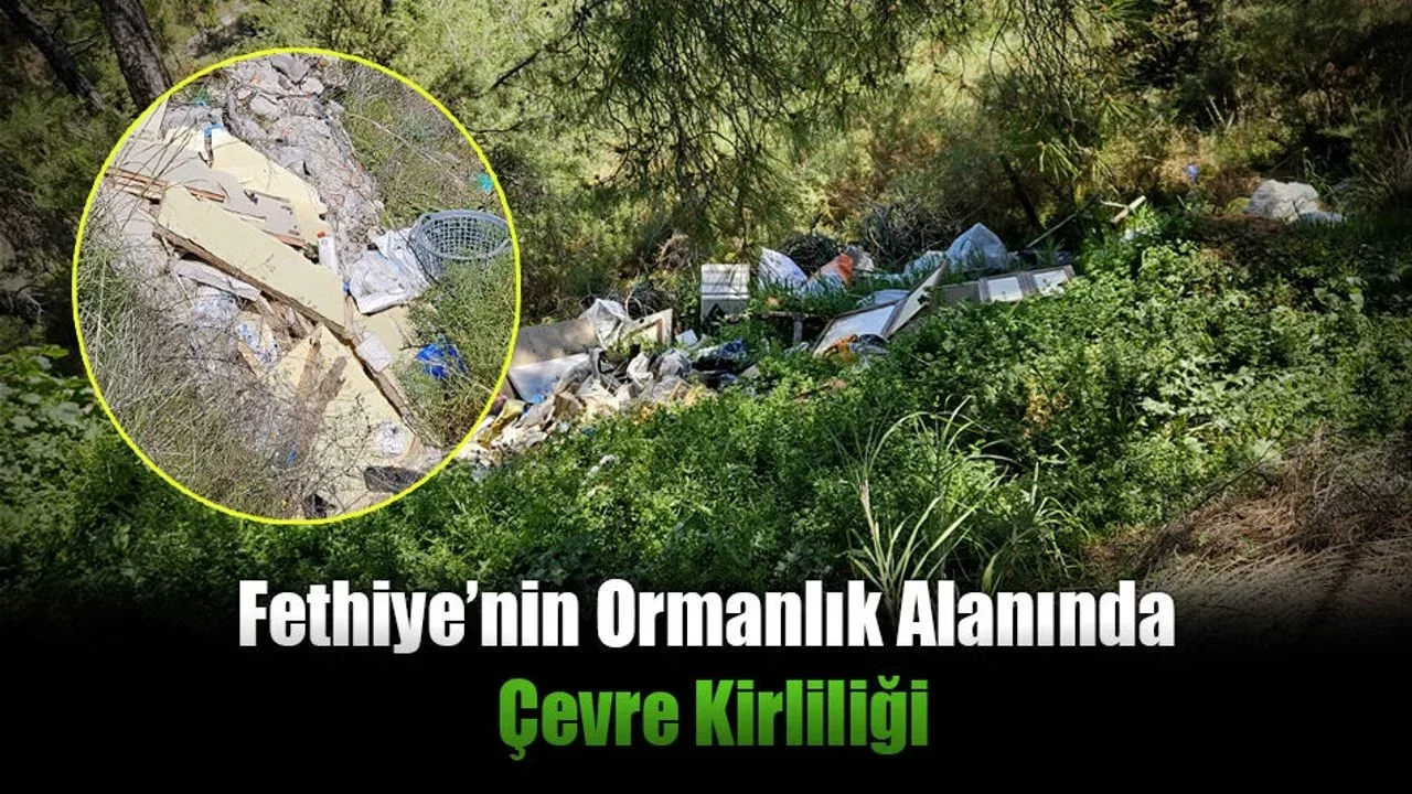 Fethiye’nin Ormanlık Alanında Çevre Kirliliği