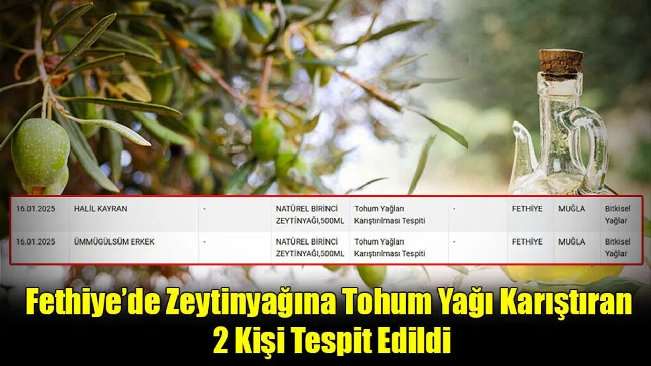 Fethiye’de Zeytinyağına Tohum Yağı Karıştıran 2 Kişi Tespit Edildi