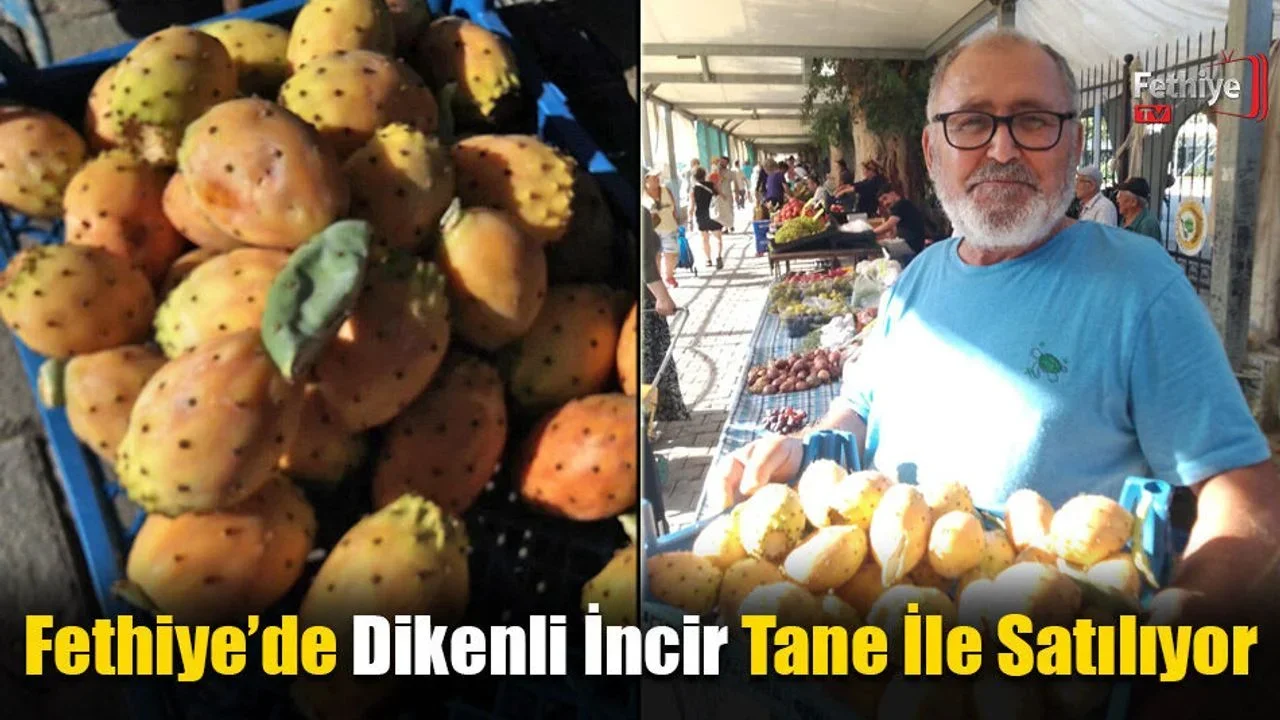Fethiye’de Dikenli İncir Tane İle Satılıyor