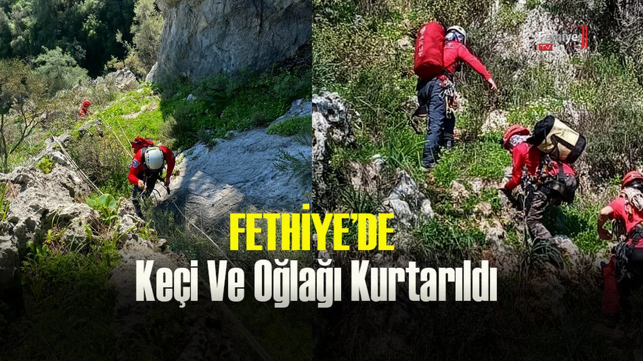 Kayalıklarda Mahsur Kalan Keçi İle Oğlağı Kurtarıldı