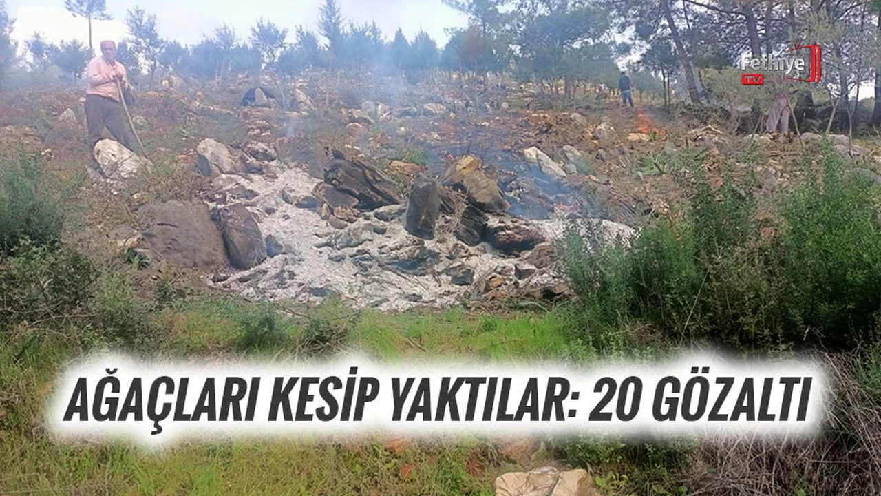 Ağaçları Kesip Yaktılar: 20 Gözaltı