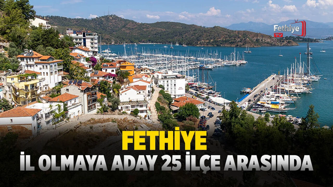 Fethiye, İl Olmaya Aday 25 İlçe Arasında