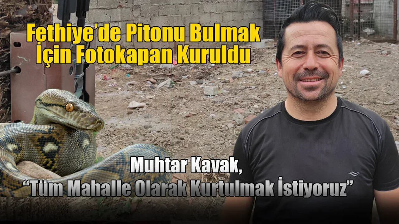 Fethiye’de Pitonu Bulmak İçin Fotokapan Kuruldu