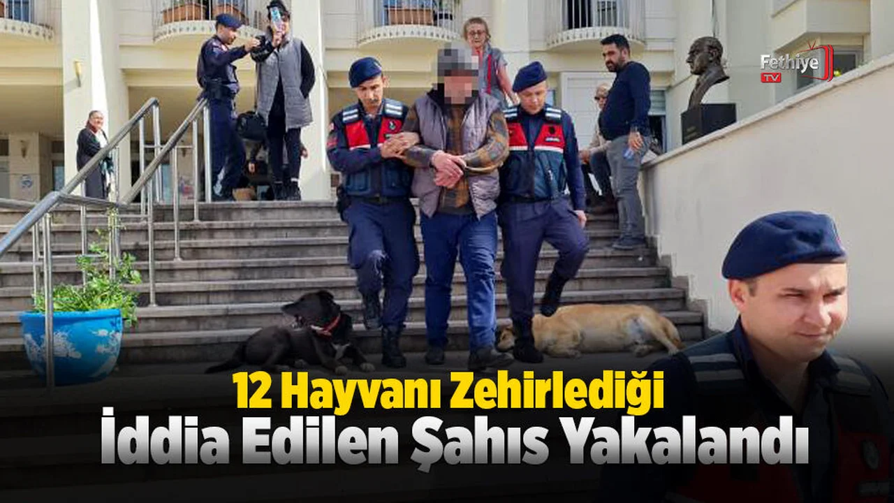 Şüpheli 45 Ayrı Güvenlik Kamerası İzlenerek Yakalandı