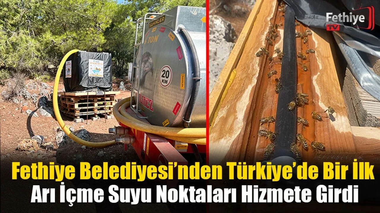 Fethiye Belediyesi’nden Türkiye’de Bir İlk: Arı İçme Suyu Noktaları Hizmete Girdi