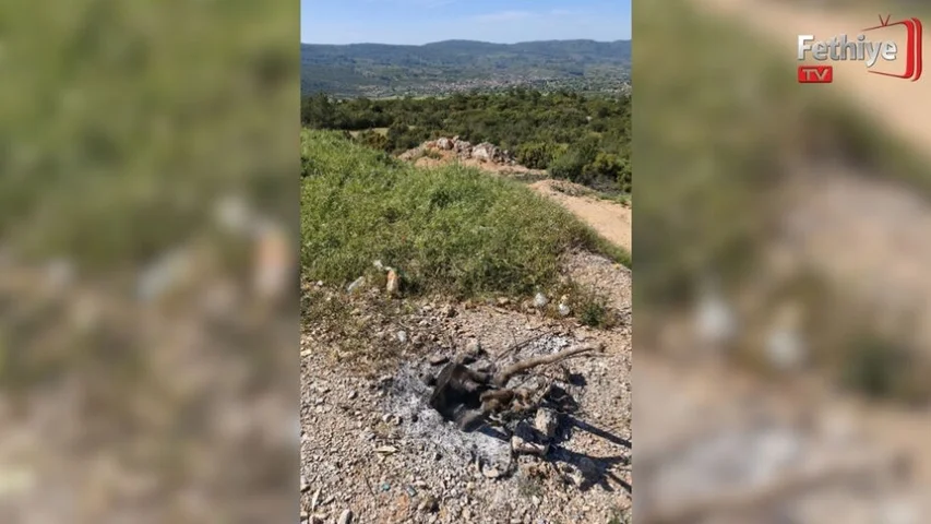 Sorumsuzluk Yangına Davetiye Çıkarıyor
