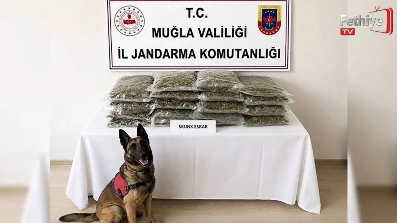 Jandarmadan Uyuşturucuya Geçit Yok
