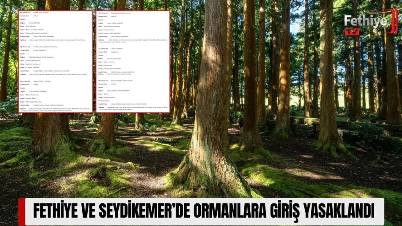 Fethiye ve Seydikemer’de Ormanlara Giriş Yasaklandı