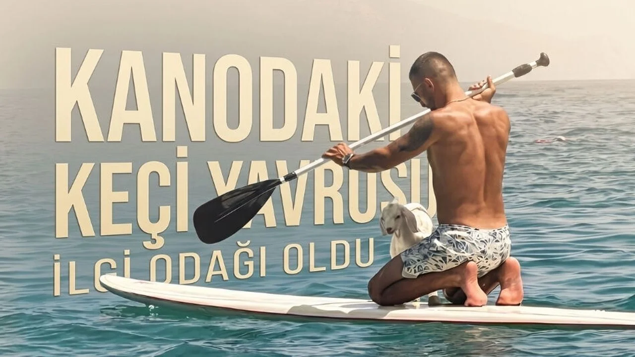 Kanodaki Keçi Yavrusu İlgi Odağı Oldu