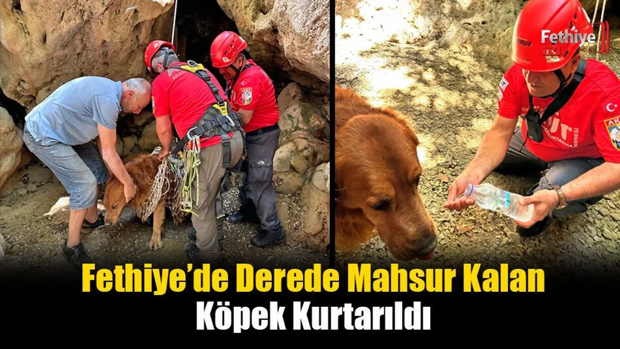 Fethiye’de Derede Mahsur Kalan Köpek Kurtarıldı