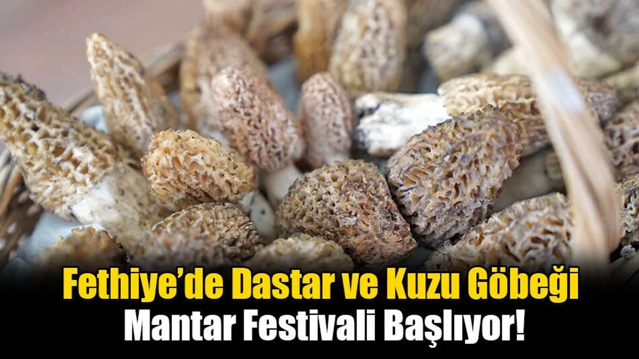 Fethiye’de Dastar ve Kuzu Göbeği Mantar Festivali Başlıyor!