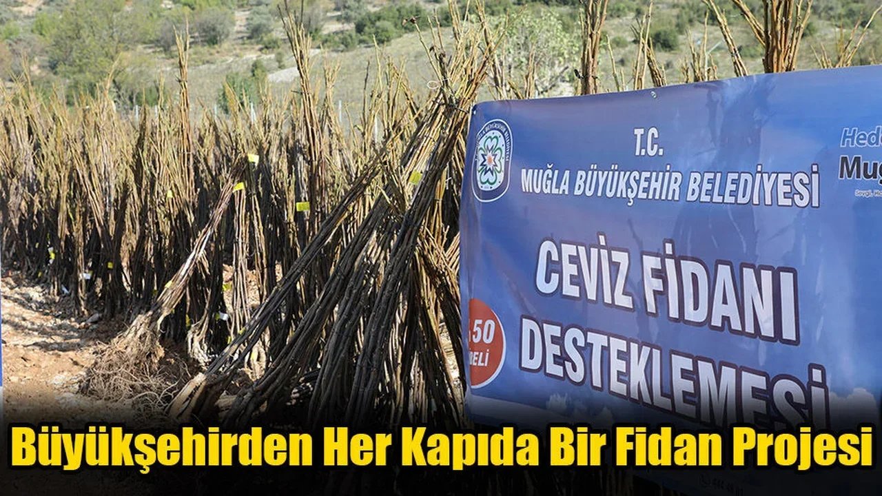 Büyükşehirden Her Kapıda Bir Fidan Projesi