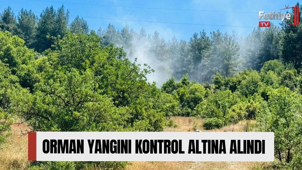 Orman Yangını Kontrol Altına Alındı