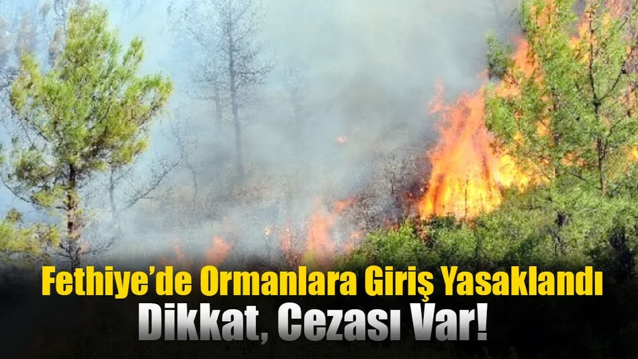 Fethiye’de Ormanlara Giriş Yasaklandı
