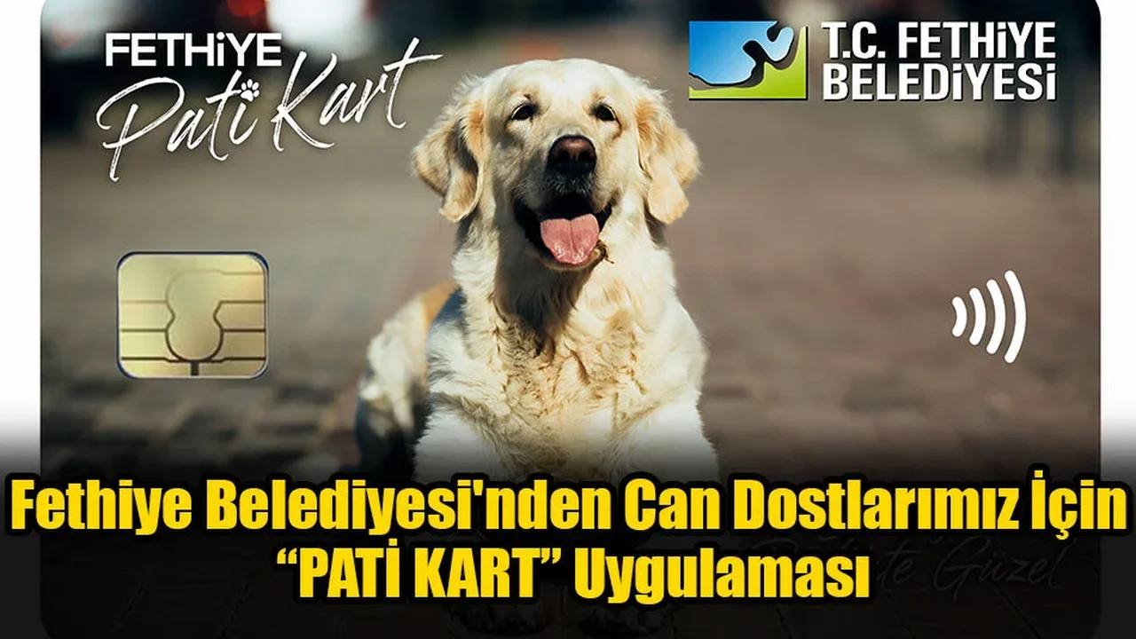 Fethiye Belediyesi'nden Can Dostlarımız İçin “Pati Kart” Uygulaması
